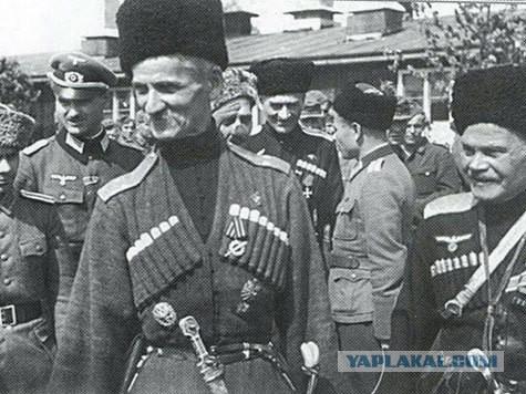 Никто не дискредитирует казаков так сильно... как сами казаки