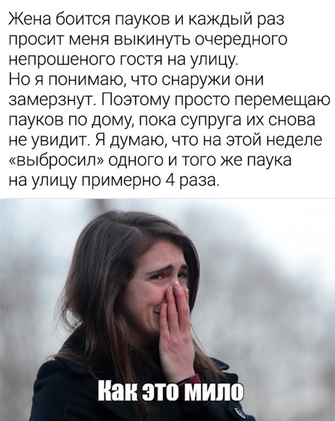 Весёлый полтишок 01.02