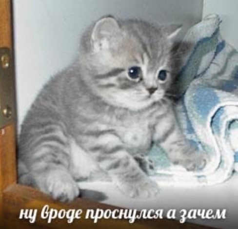 40 картинок разных 03.02.2022