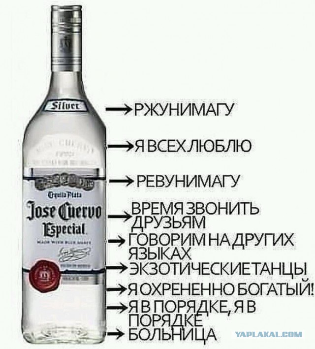 Алкопост 11.02.22