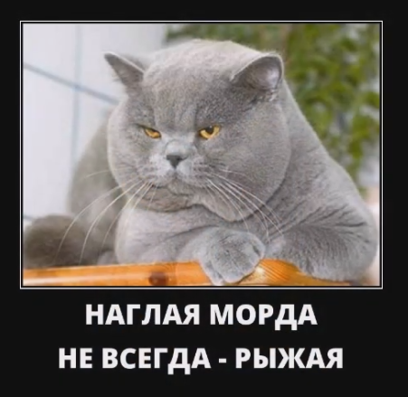 Весёлый полтишок 28.02.22