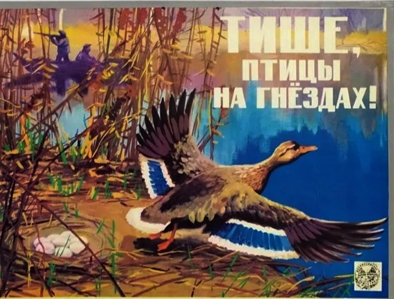 Под Воронежем что-то упало.