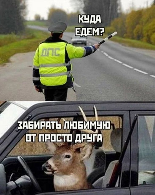 А давайте послушаем женщин, что они сами говорят про свою верность. Но только не мужчинам, а друг другу