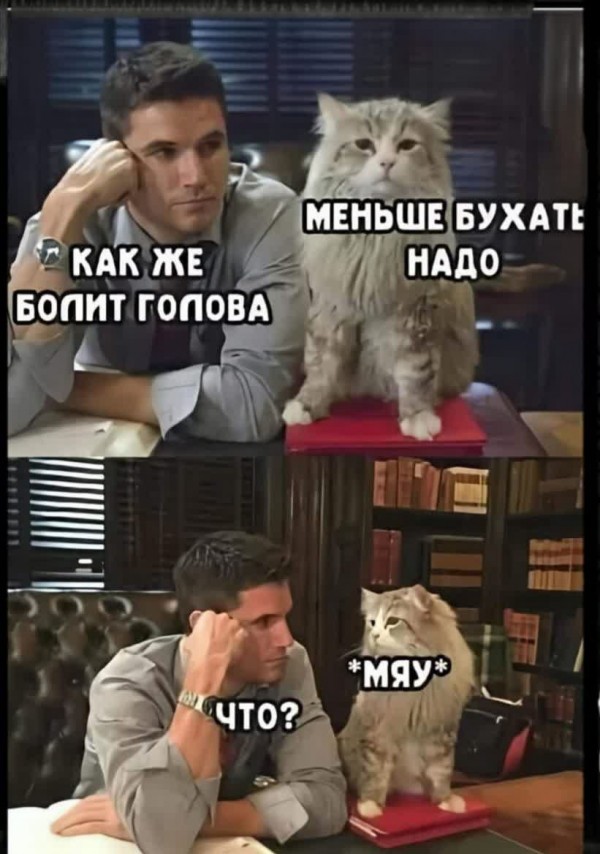 Картинки и мемы для настроения - 009