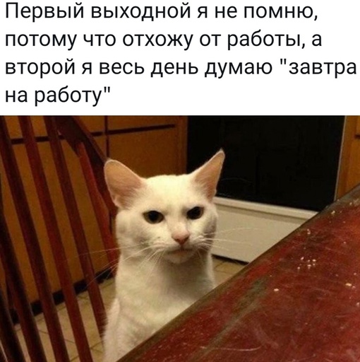 Картинки и мемы, всем хороших выходных