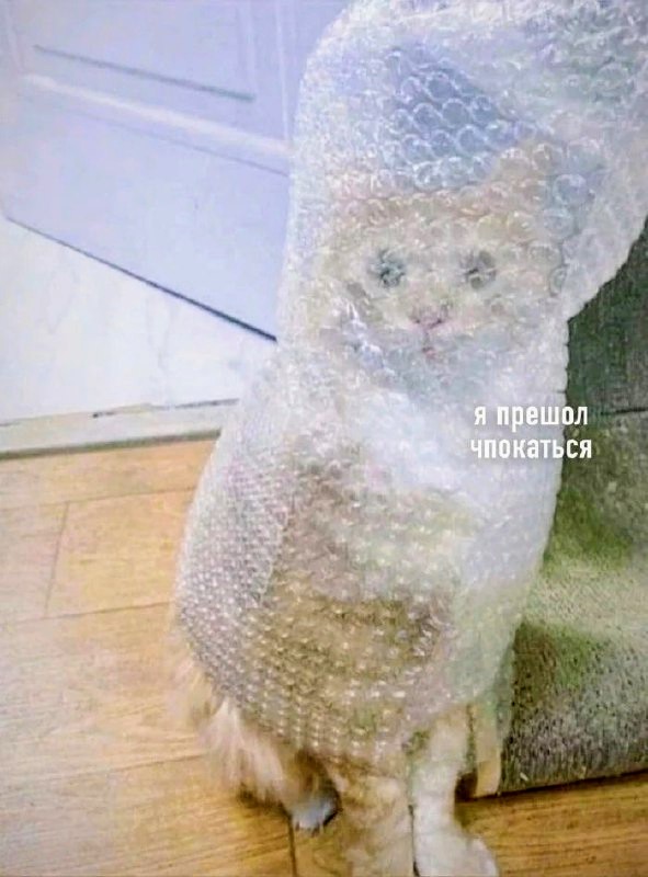 Картинки и мемы для настроения - 119