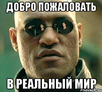 А из нашего окна вот такая красота...