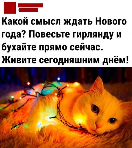 Картинки и мемы для настроения - 125