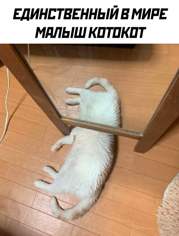 Картинки и мемы. Выходные близко...