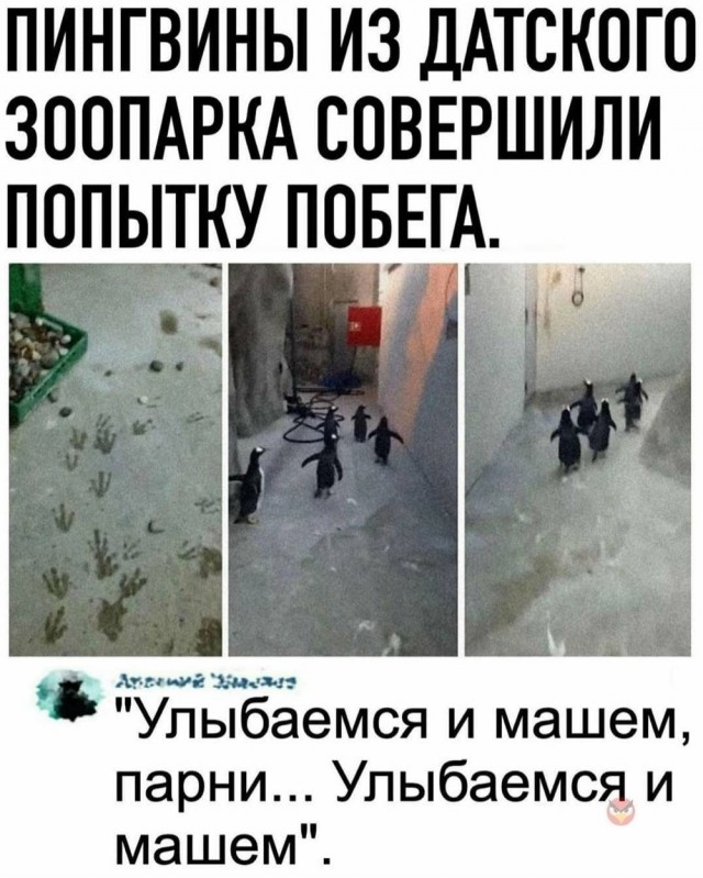 Картинки и мемы, всем хороших выходных