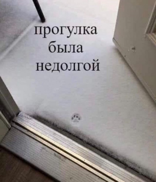 Картинки и мемы, всем хороших выходных