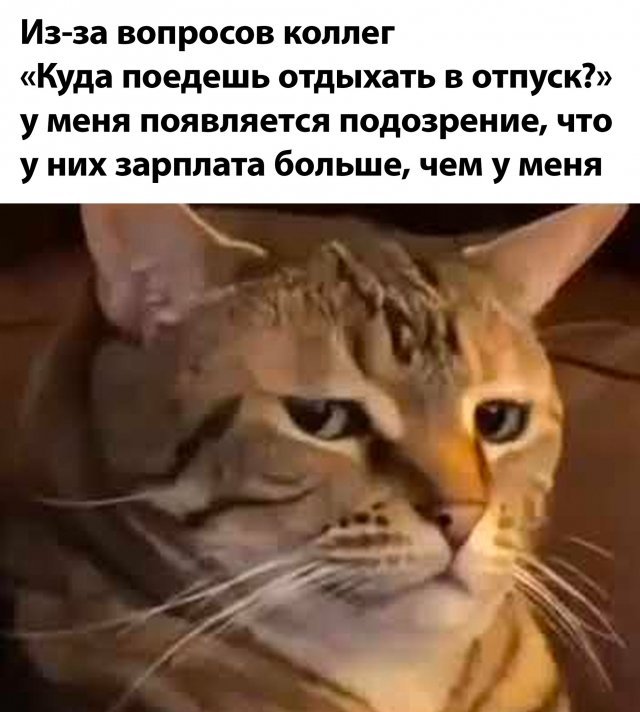 Картинки и мемы, всяко разно - 179