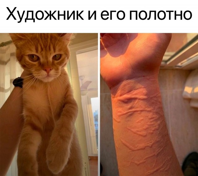 Так себе картинки 11.06.23