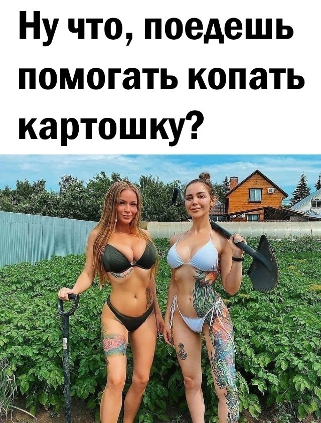 Так себе картинки 31.03.24