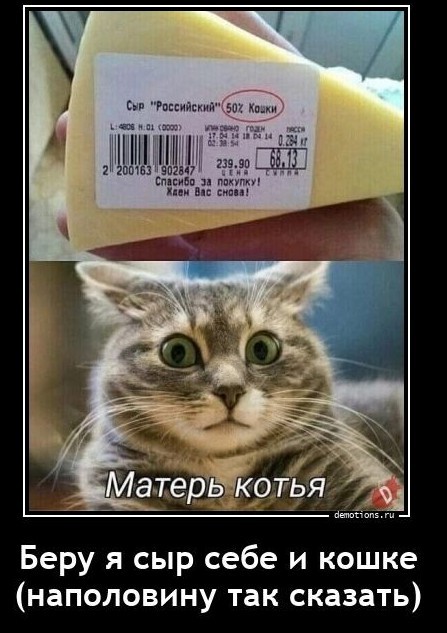 Слив лютых картинок