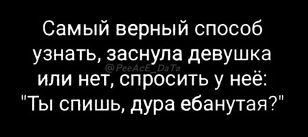 Весёлый полтишок 22.07 24