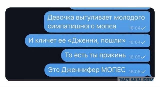 Забавные картинки, шутки из этих ваших интернетов