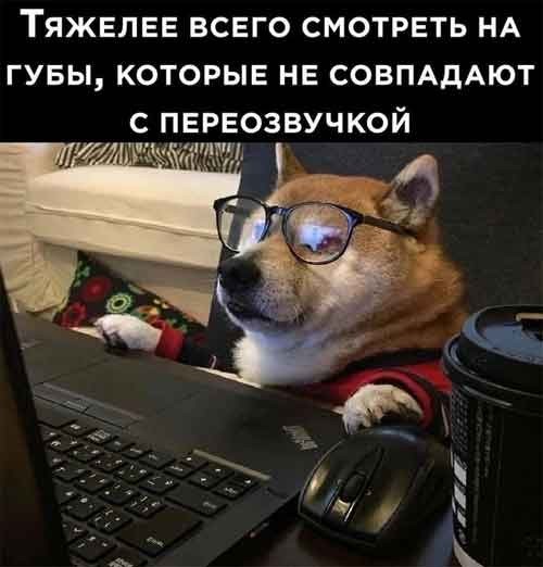 Так себе картинки 27.10.24