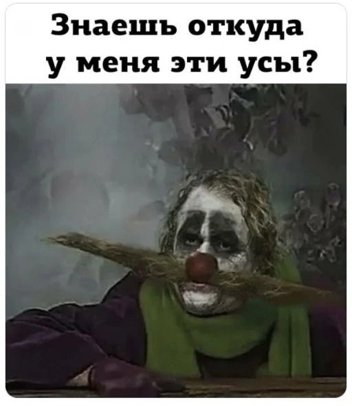 Нуштош 23.04.2025. По эту сторону зеркала (s3e11)