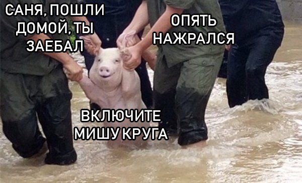 Надо бы занести