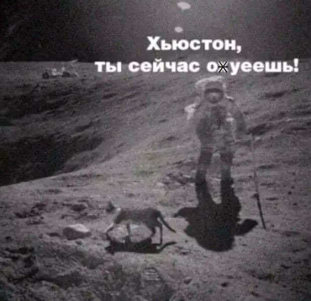 Подборка картинок-баянов с котиками и про котиков. Выпуск 21
