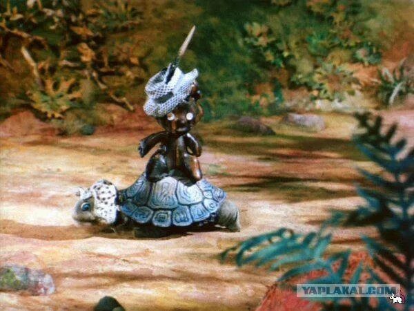 Неторопливая черепахоезда