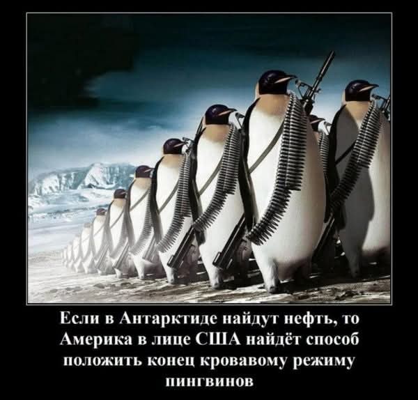Веселых картинок вам в ленту