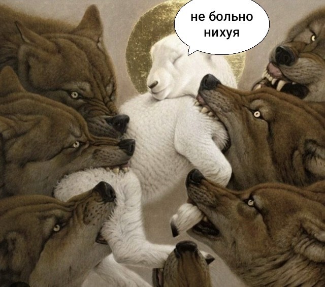 Веселое настроение в картинках 01.02.26