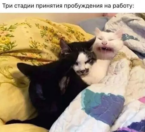 Картиночки, баянчики 28 марта