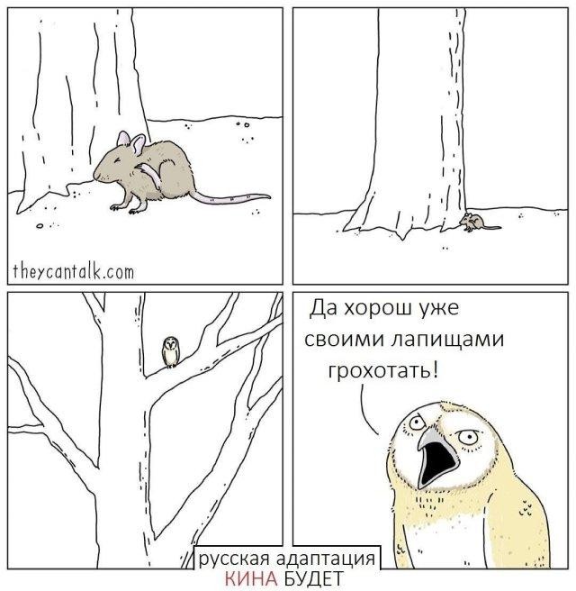 Картинки для деградации 177 (разной степени свежести)