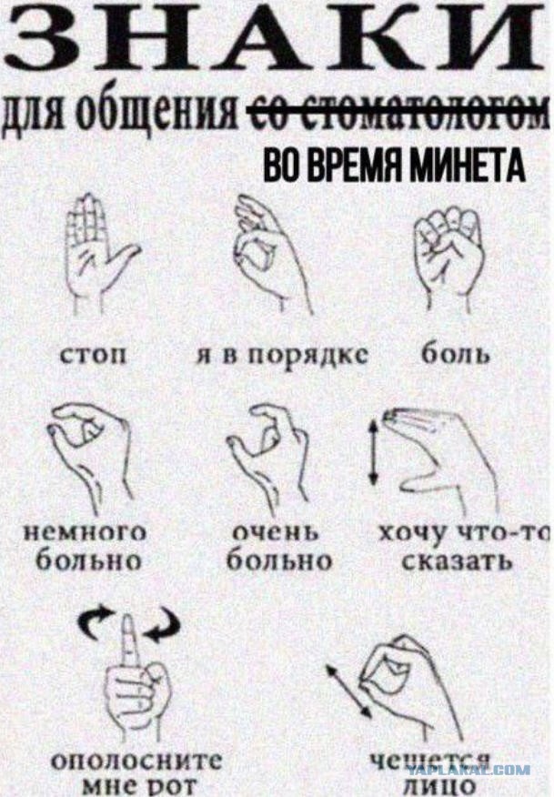 Веселые картинки в пятницу (05.06)
