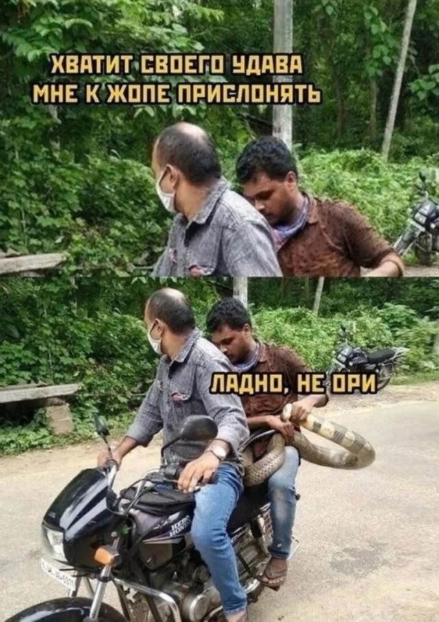 Картинки для деградации 223 (разной степени свежести)