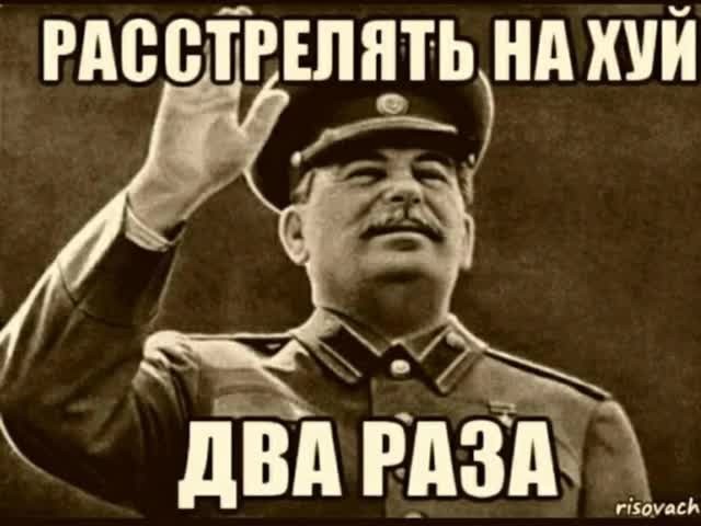 В Турции мужика арестовали за то, что он пнул котика