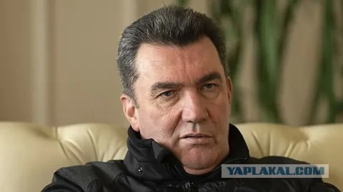 В Луганске выбросили львёнка