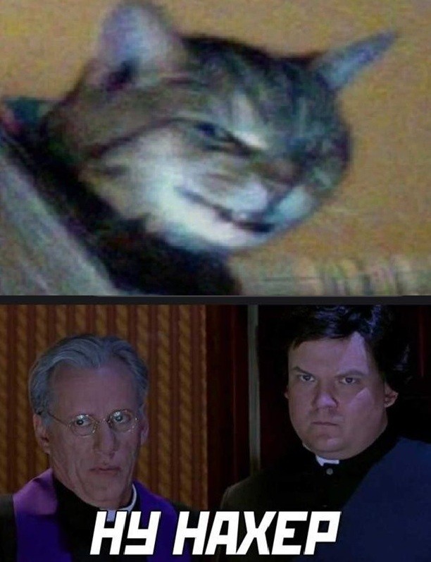 Если замедлить МЯУ!