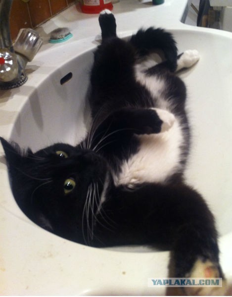 В ночь с 28 февраля на 1 марта. Без предупреждения