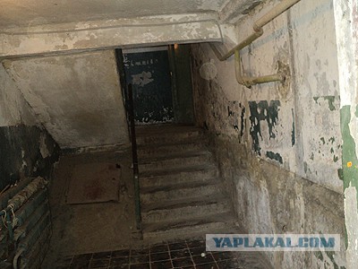 Уроки албанского