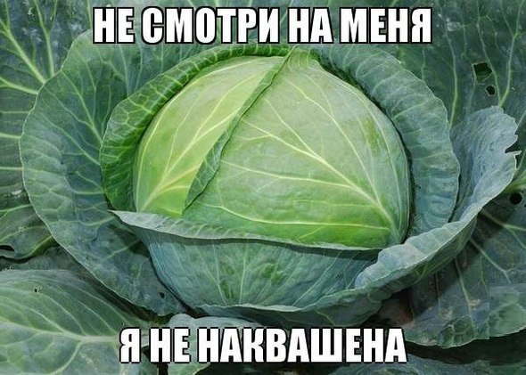 Не нак*ашена!