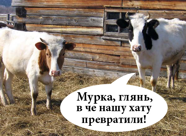 Как я кухню залепил