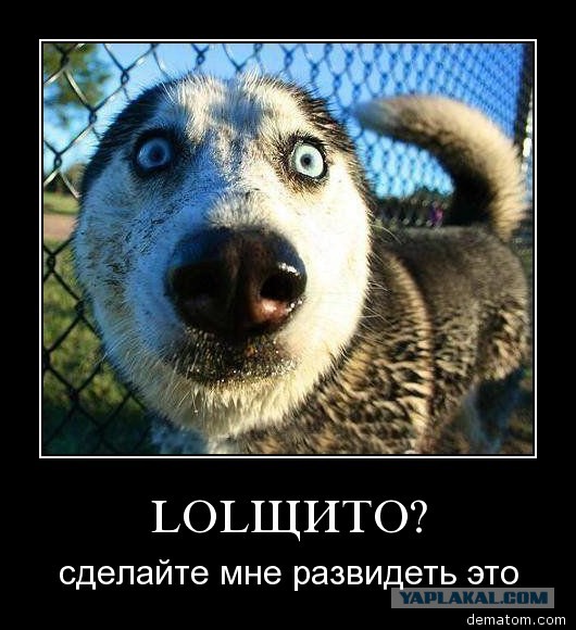 В сети появилась новая худшая песня современности!