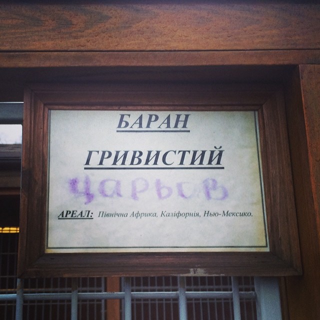 Межигорье - резиденция Януковича захвачена