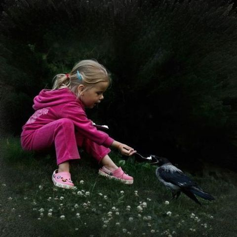 Подборка забавных и курьезных фотографий