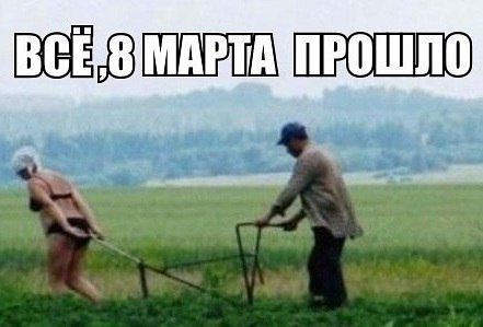 Веселые картинки? а так же комментарии)