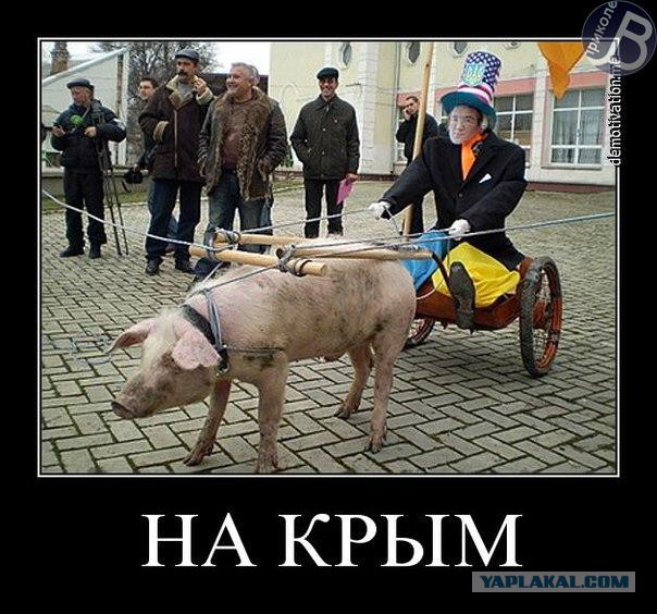 "Люстрации в СБУ"