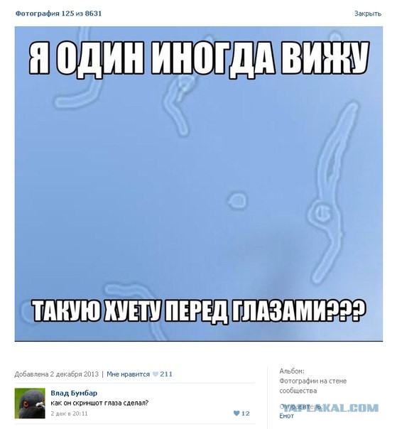 Смешные комментарии из социальных сетей (апрель)