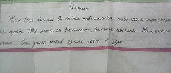 Вот такое существо было найдено во дворе