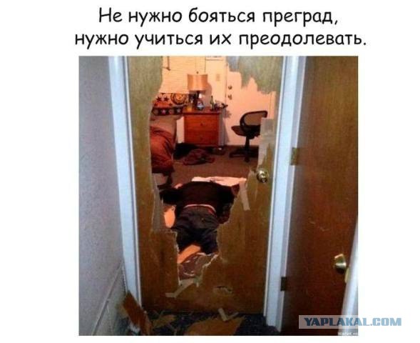 Картинки