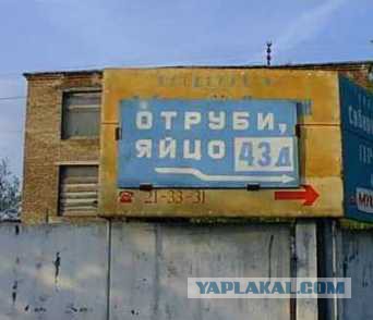 Немного смешных картинок из сети