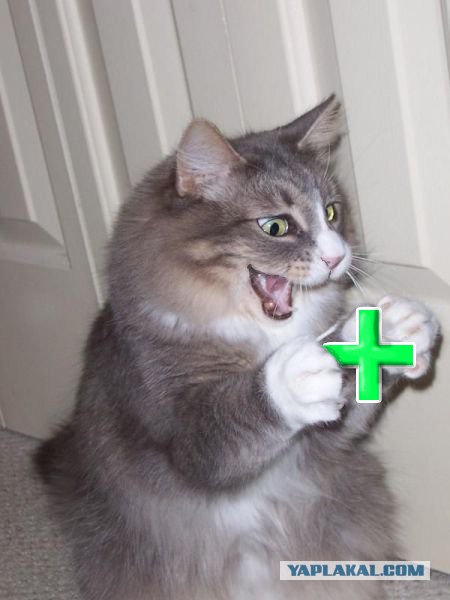 Плюсомет со шпалометом