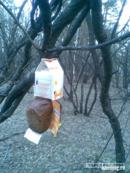 Что такое лень